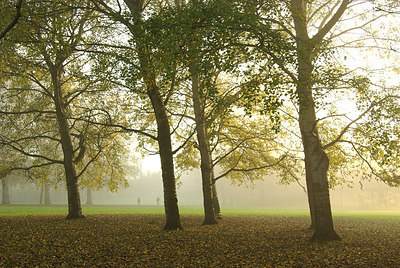 BUITEN BEELD Foto: 147495