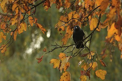 BUITEN BEELD Foto: 147541
