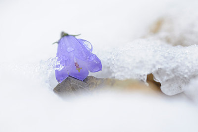 BUITEN BEELD Foto: 147629