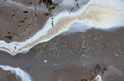 BUITEN BEELD Foto: 147653