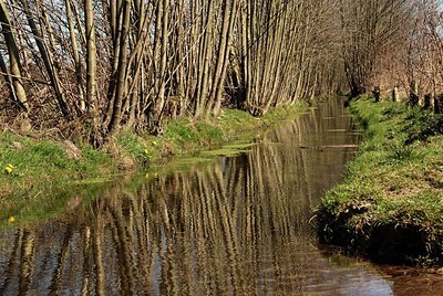 BUITEN BEELD Foto: 147666