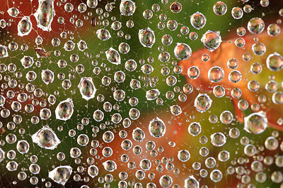 BUITEN BEELD Foto: 147680