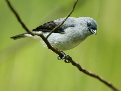 BUITEN BEELD Foto: 147687