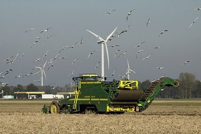 BUITEN BEELD Foto: 147713