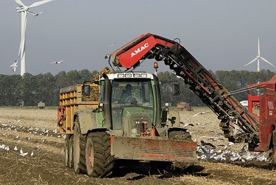 BUITEN BEELD Foto: 147719