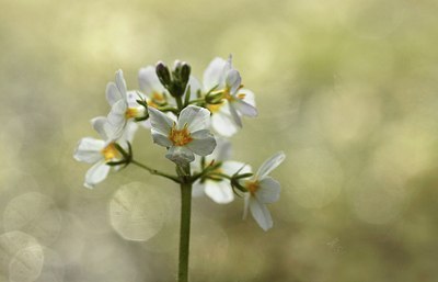 BUITEN BEELD Foto: 147730