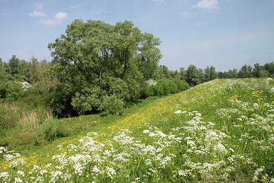 BUITEN BEELD Foto: 147740