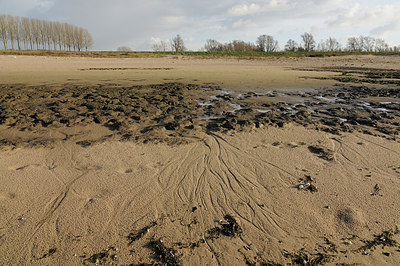 BUITEN BEELD Foto: 147818