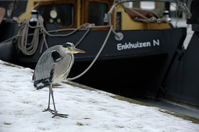 BUITEN BEELD Foto: 147821