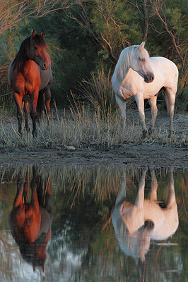 BUITEN BEELD Foto: 147825