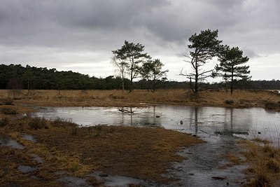 BUITEN BEELD Foto: 147827