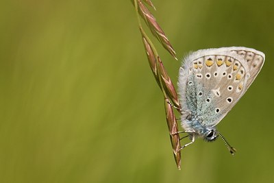 BUITEN BEELD Foto: 147830