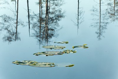 BUITEN BEELD Foto: 147839