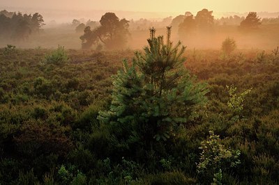 BUITEN BEELD Foto: 147851