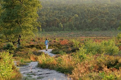 BUITEN BEELD Foto: 147864