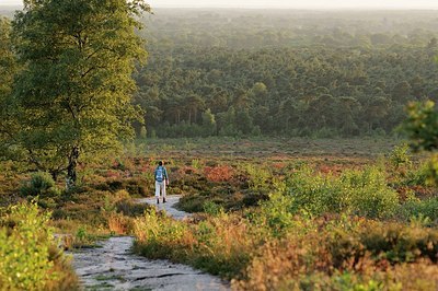 BUITEN BEELD Foto: 147866