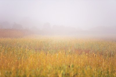 BUITEN BEELD Foto: 147930