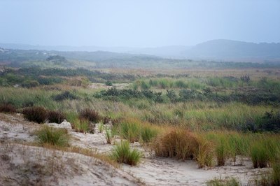 BUITEN BEELD Foto: 147937