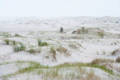 BUITEN BEELD Foto: 147939