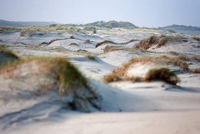 BUITEN BEELD Foto: 147944