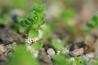 BUITEN BEELD Foto: 147985