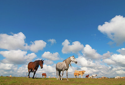 BUITEN BEELD Foto: 148063