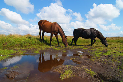 BUITEN BEELD Foto: 148067