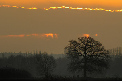 BUITEN BEELD Foto: 148091