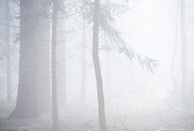 BUITEN BEELD Foto: 148111