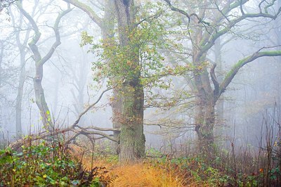 BUITEN BEELD Foto: 148150
