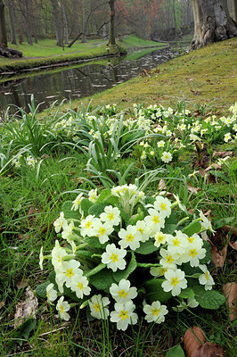BUITEN BEELD Foto: 148180