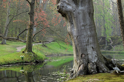 BUITEN BEELD Foto: 148181