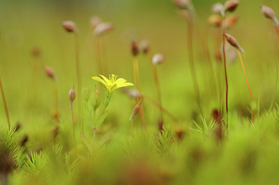 BUITEN BEELD Foto: 148220
