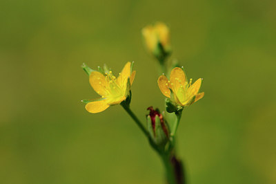 BUITEN BEELD Foto: 148221
