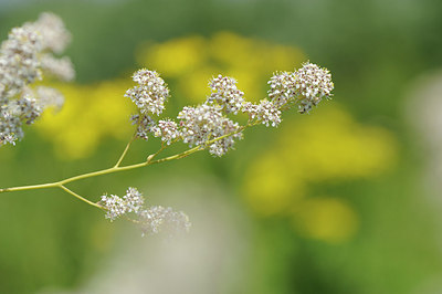 BUITEN BEELD Foto: 148229