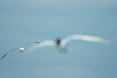 BUITEN BEELD Foto: 148247