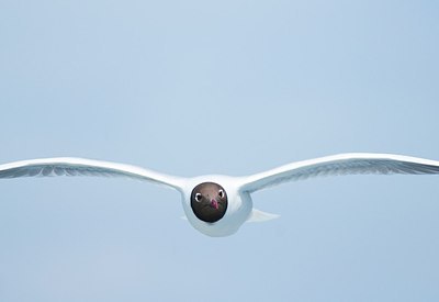 BUITEN BEELD Foto: 148258