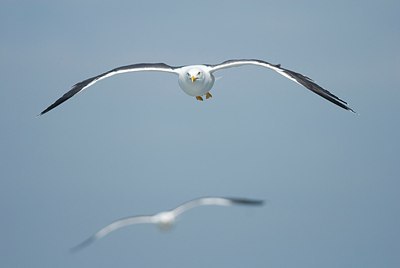 BUITEN BEELD Foto: 148297