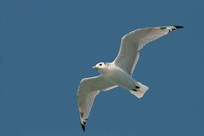 BUITEN BEELD Foto: 148311