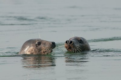 BUITEN BEELD Foto: 148321