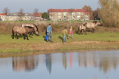 BUITEN BEELD Foto: 148357