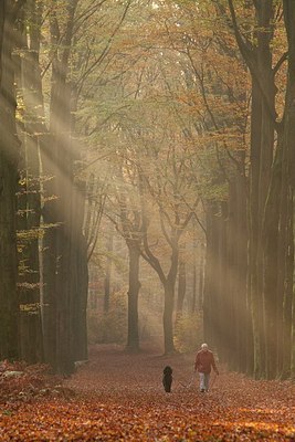 BUITEN BEELD Foto: 148361