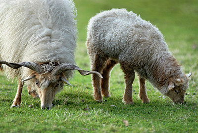 BUITEN BEELD Foto: 148380