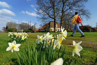 BUITEN BEELD Foto: 148385