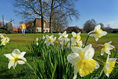 BUITEN BEELD Foto: 148386