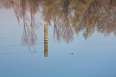 BUITEN BEELD Foto: 148421