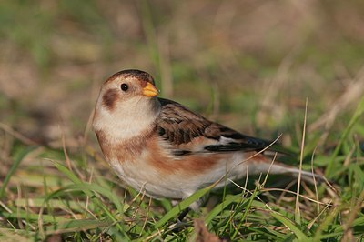 BUITEN BEELD Foto: 148434