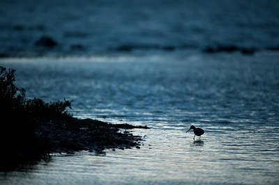 BUITEN BEELD Foto: 148453