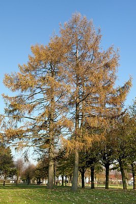 BUITEN BEELD Foto: 148483