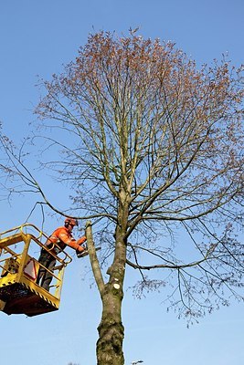 BUITEN BEELD Foto: 148504
